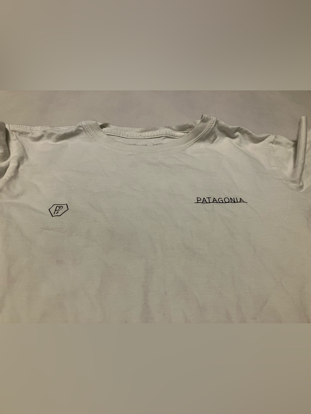 Patagonia White Short Sleeve Logo T-Shirt - Picture 2 of 4